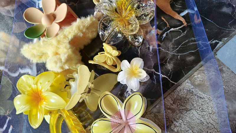 Hair Clip Bundle (pack of 9)