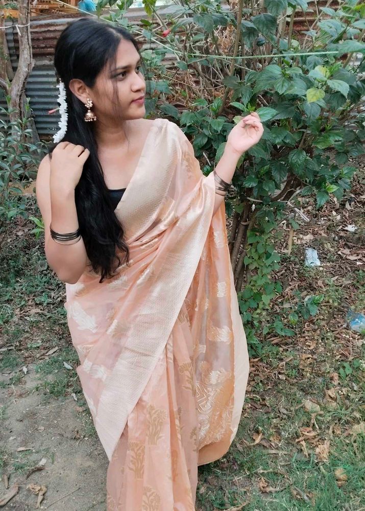 Elegant Peach Saree with Gold Details