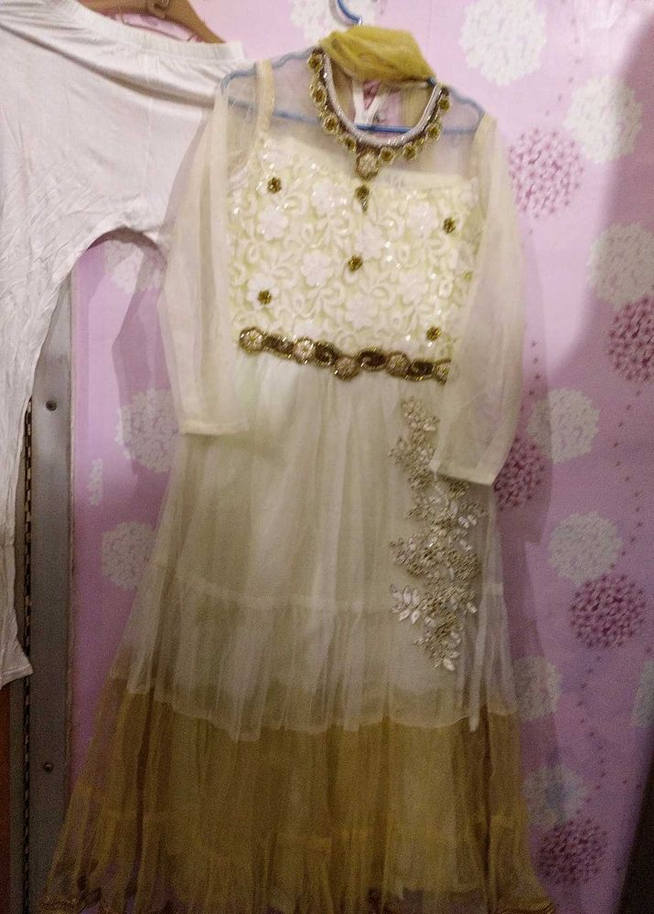 Fancy Women Partywear Gowns