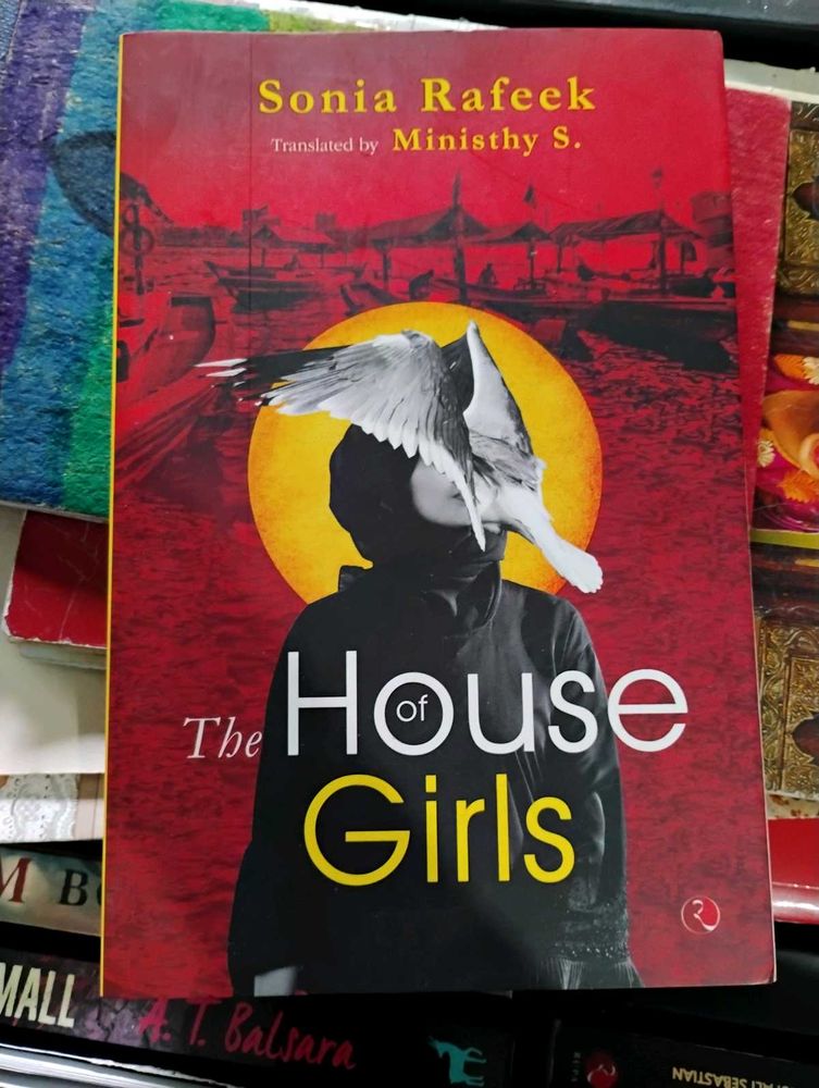 The House of Girls Novel