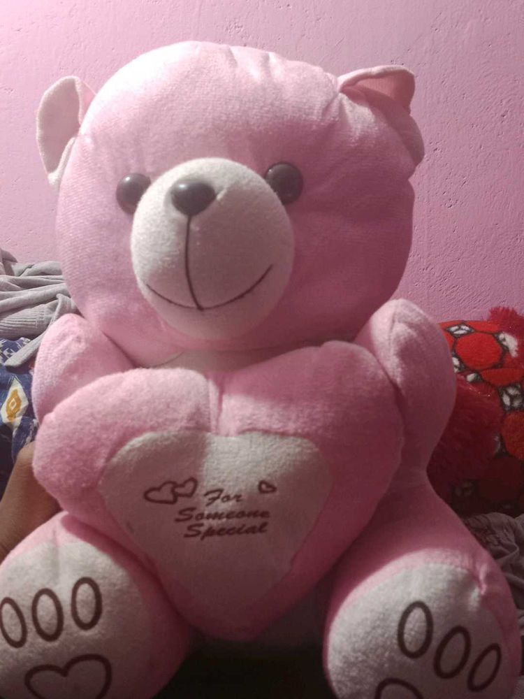 Pink Teddy Bear
