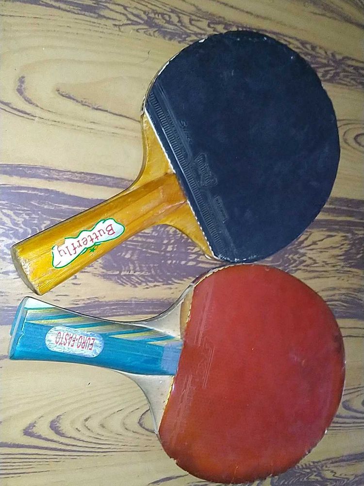 Table Tennis Two Bats
