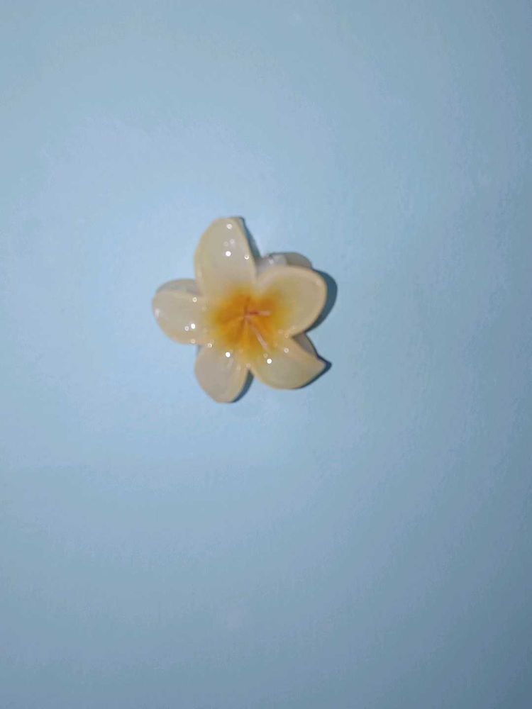 Floral Hair Clip || can be in any colour!🌸🌼🌺