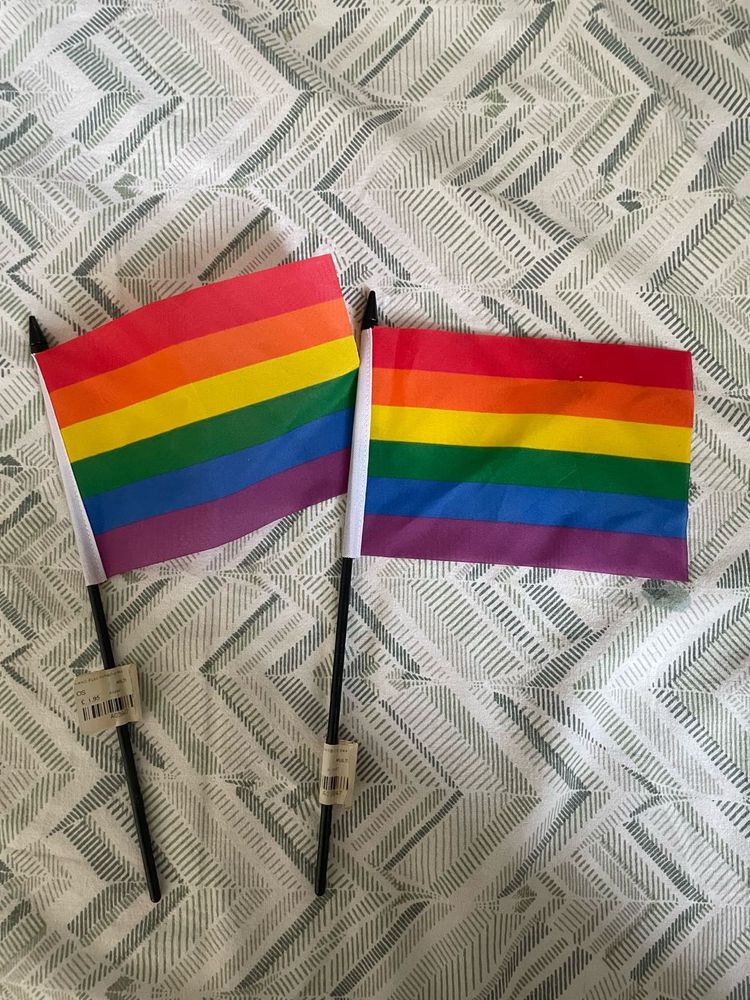 Set Of 2 Rainbow Flags