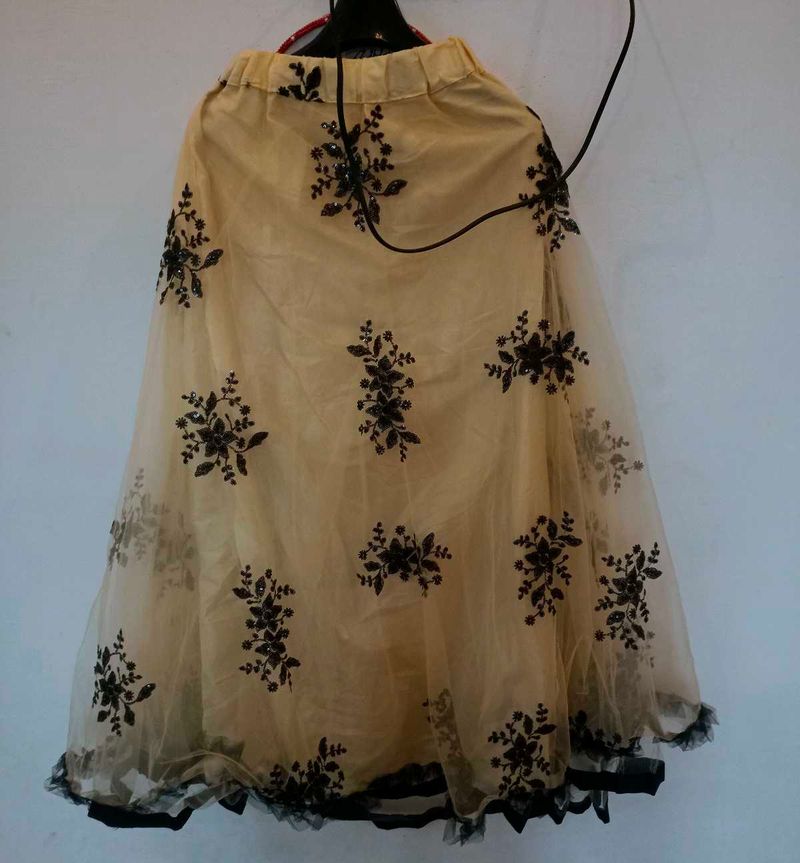 Women Ethnic Skirt With Top