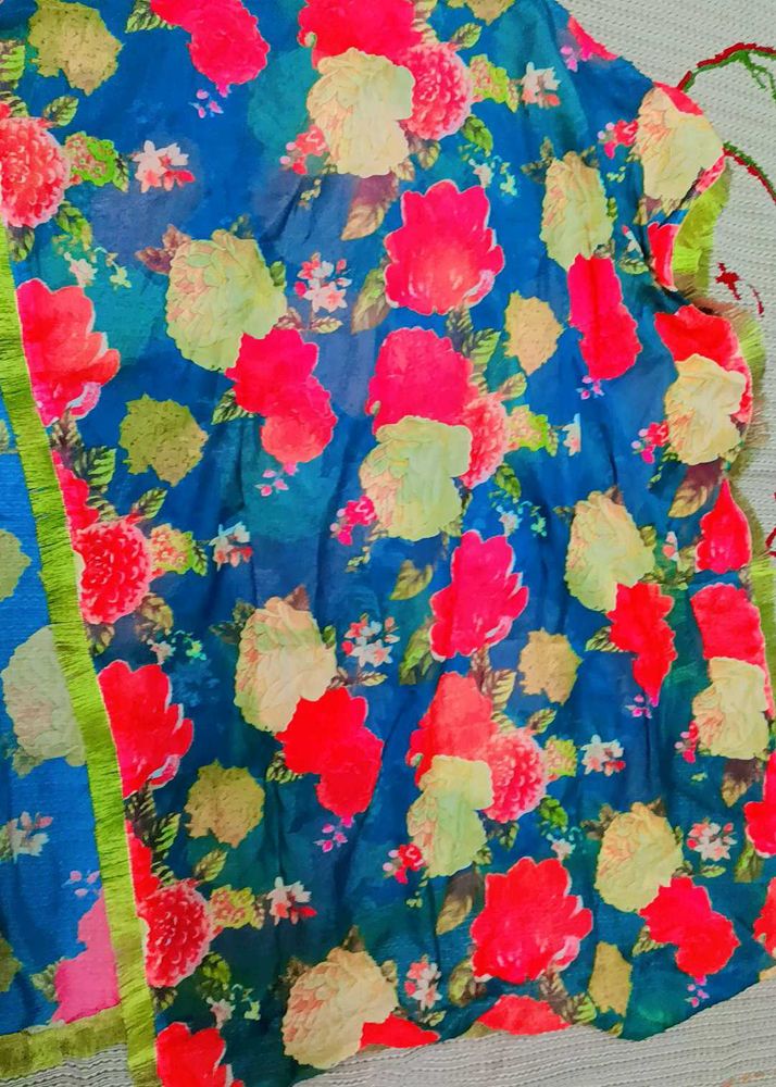 Multicolored Organza Dupatta