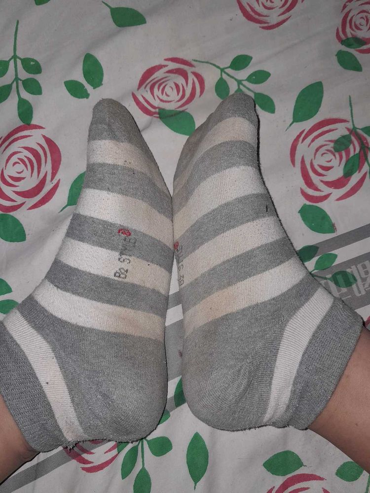 Socks Daily Wear
