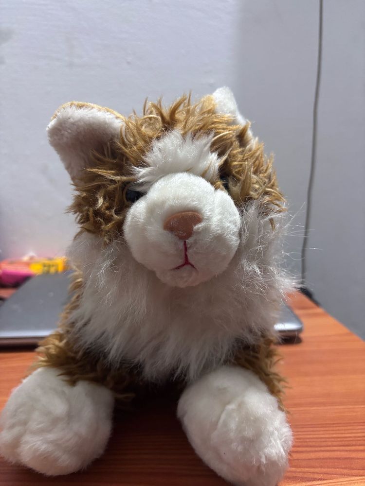 Cat Doll