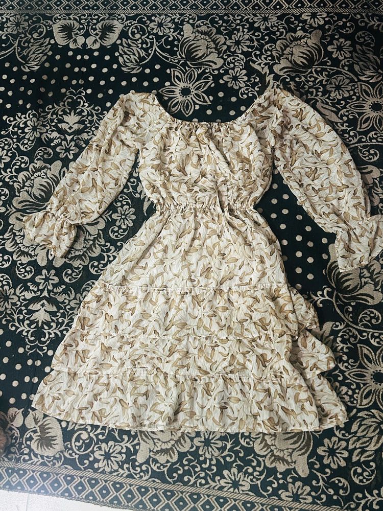 Women Shots  Sheer Brown, Beige Dress
