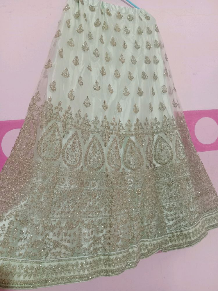 Elegant Embroidered Lehenga Skirt
