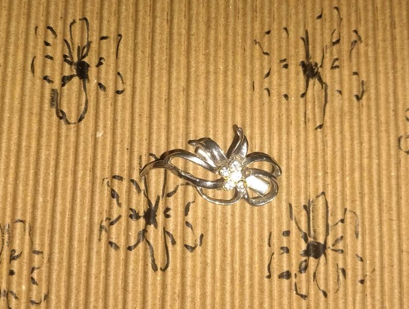 Beautiful Brooch Pin