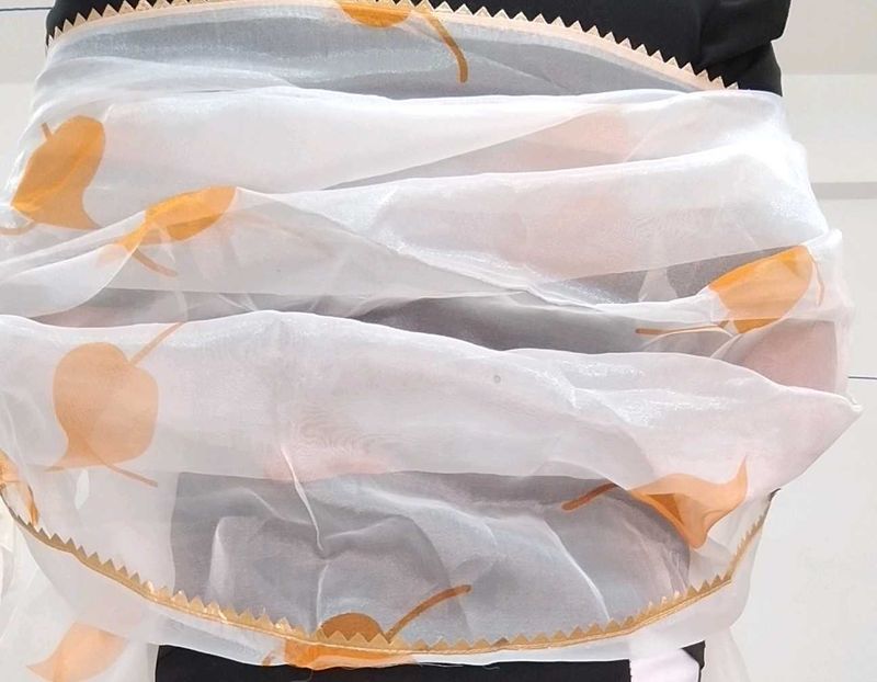 Elegant Organza Dupatta