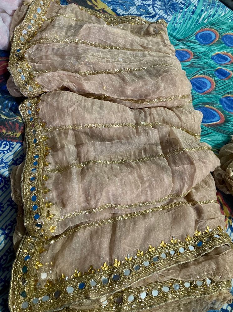 Heavy Party Wear Saari