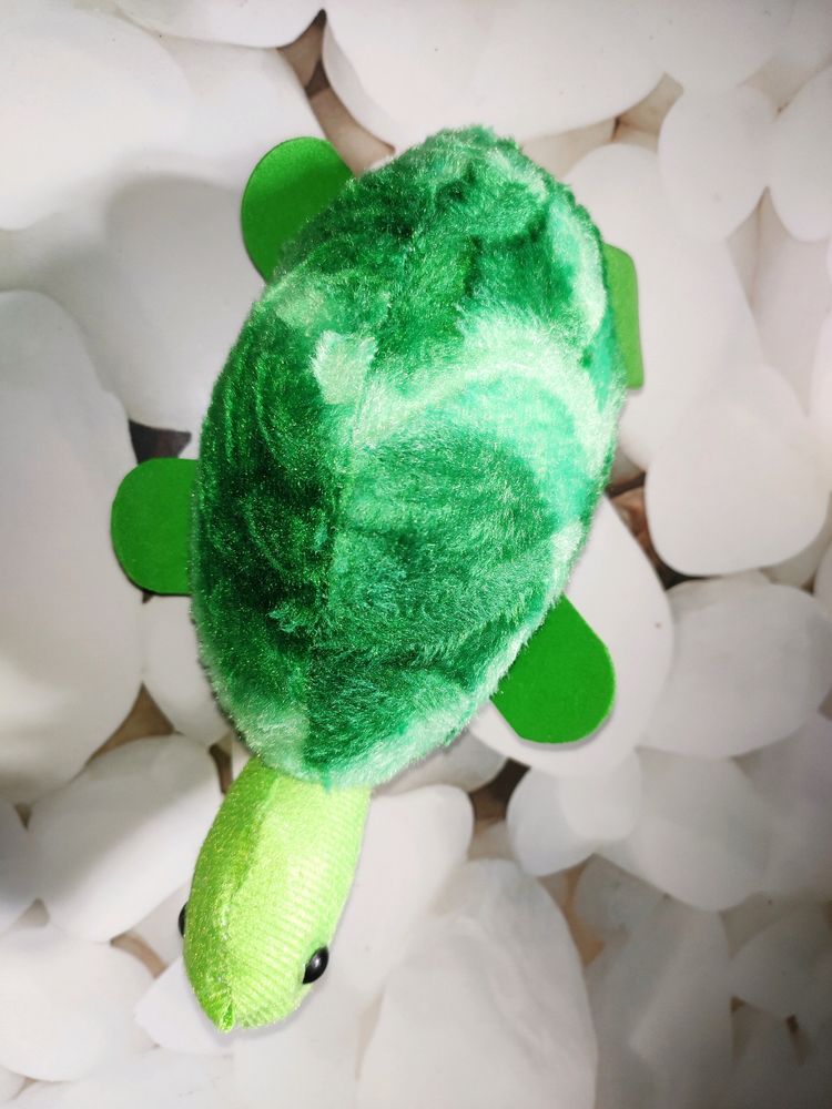 Cute Turtle Soft Toy
