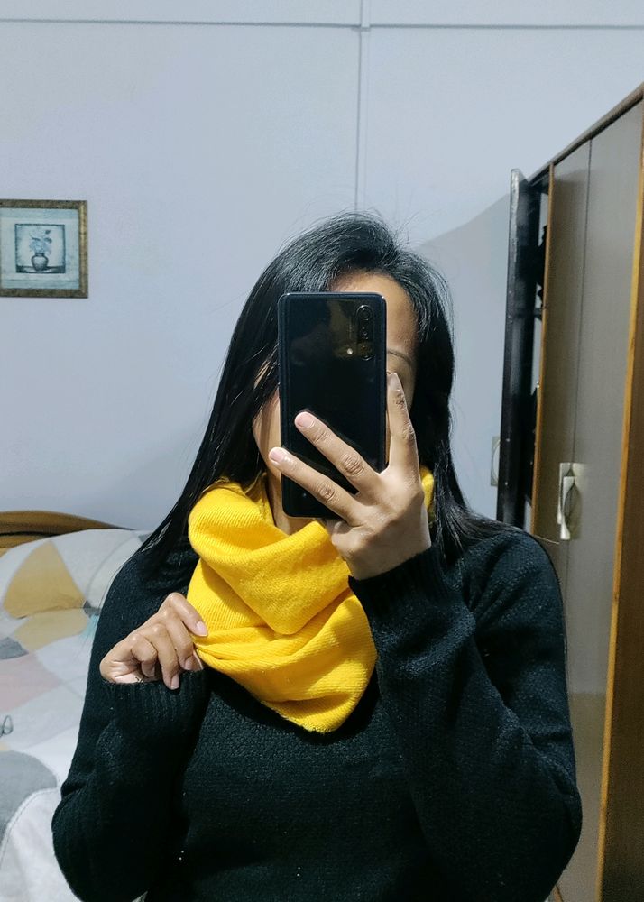 Muffler
