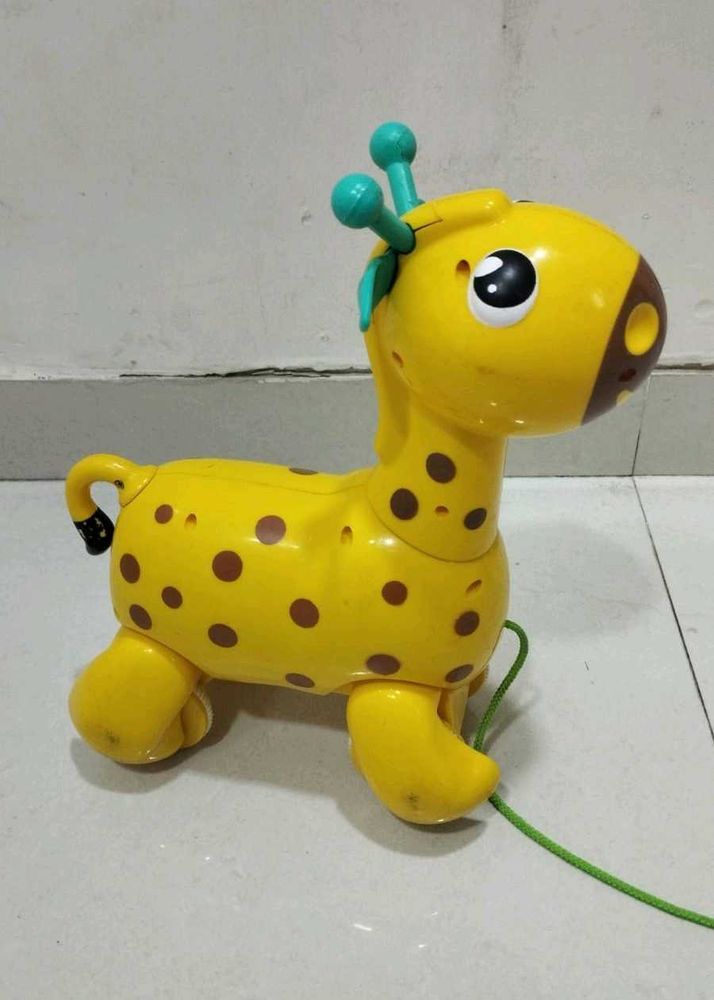 Nicco The Giraffee