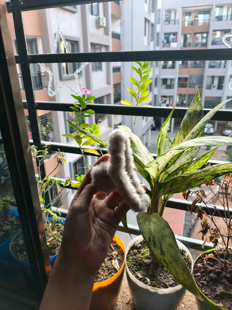 Fluffy White Hair Clip
