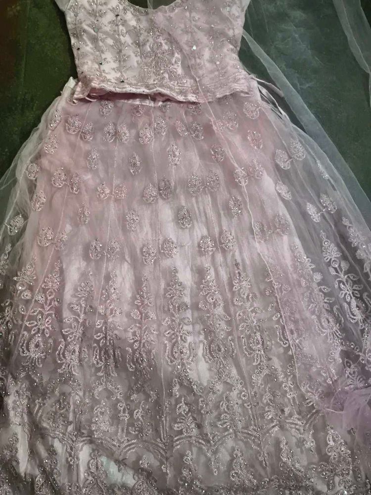 Elegant Embellished Lehenga Choli Set