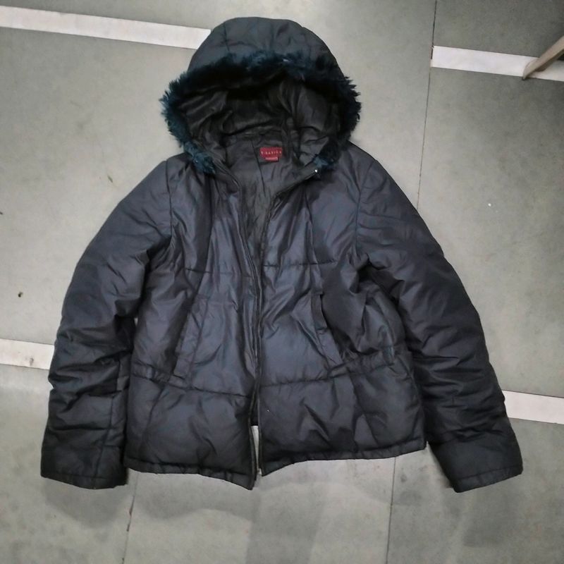 Winter Jacket