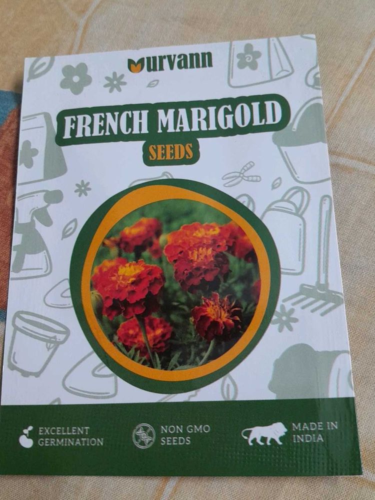 WINTER FLOWERING PLANTS-FRENCH MARIGOLD SEEDS