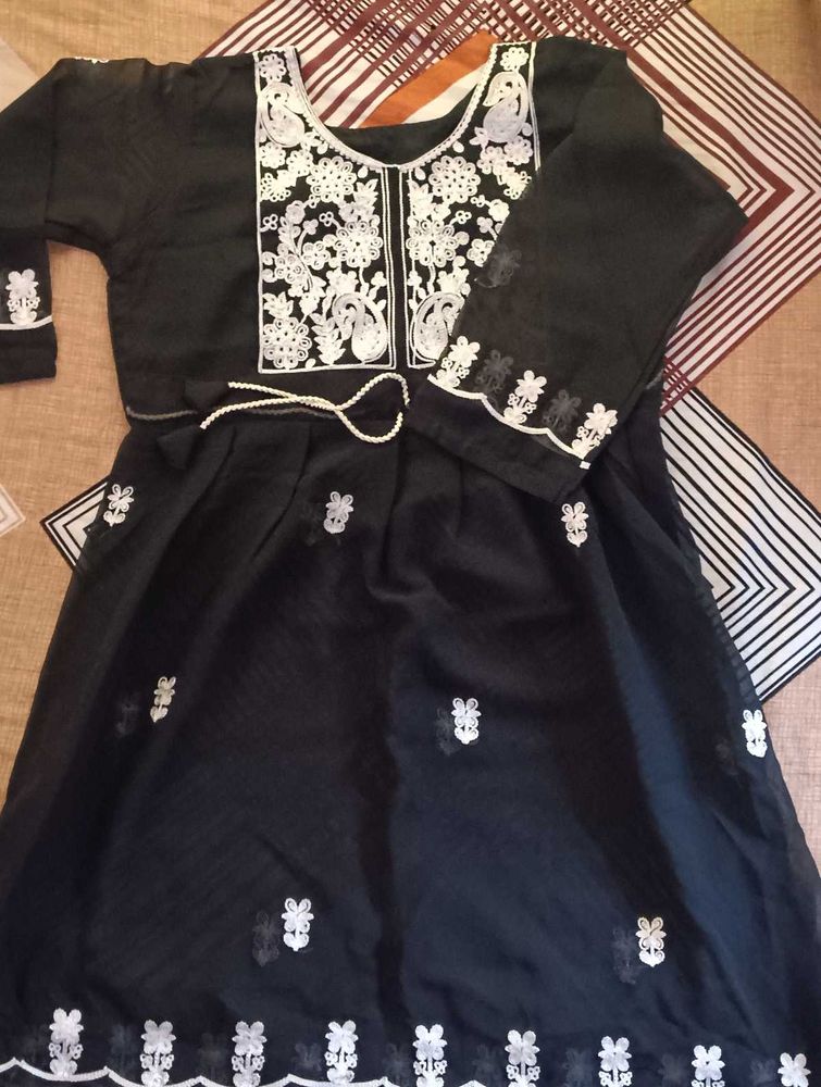 Chikankari Top