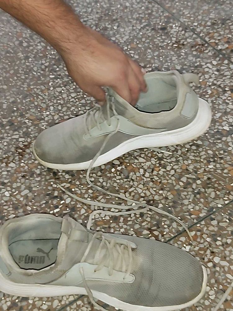 Light Grey Puma Running Shoes