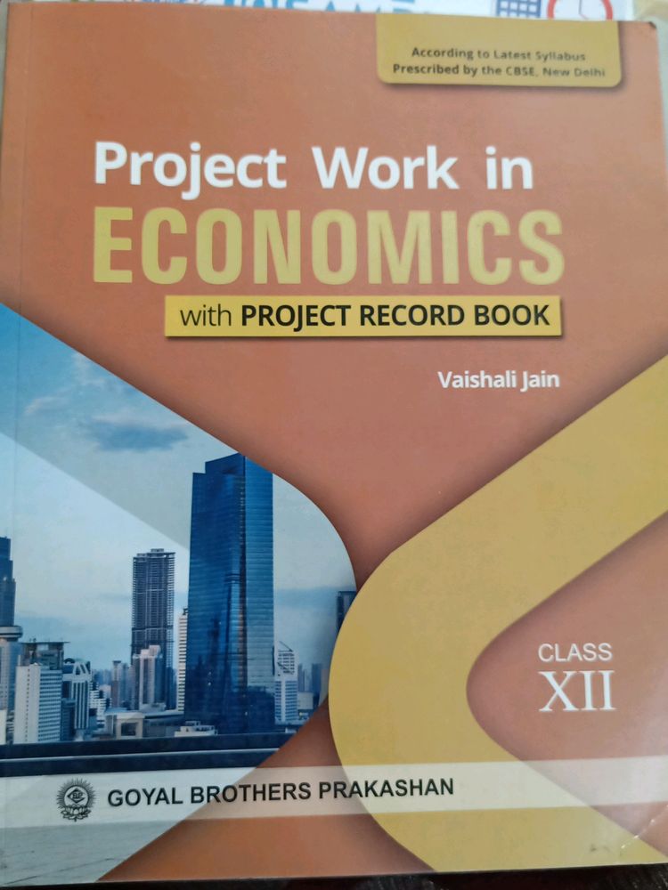 Class 12 Economics Project Ideas