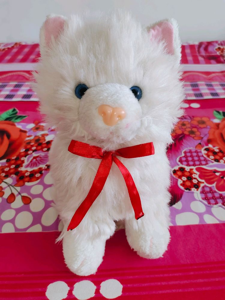 Cat Soft Toy 🐱