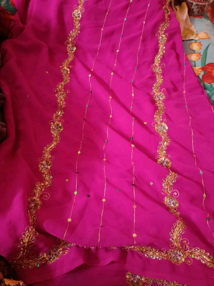 Saree With Amazing Handwork