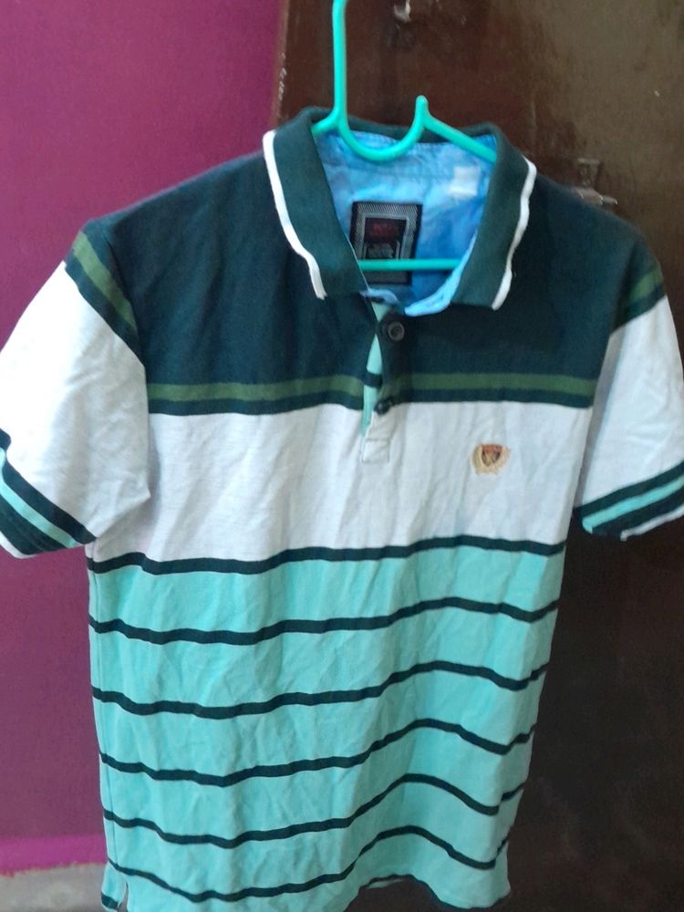Green Colour Polo T-shirt From Dutch Harbour