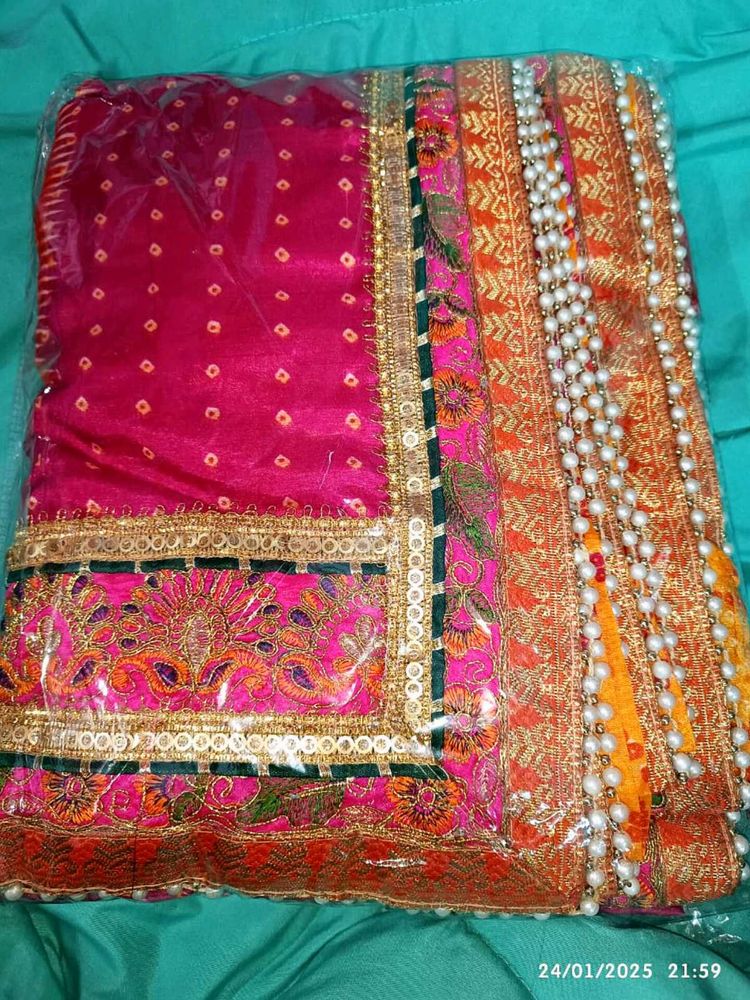 Wide Border Heavy Saree