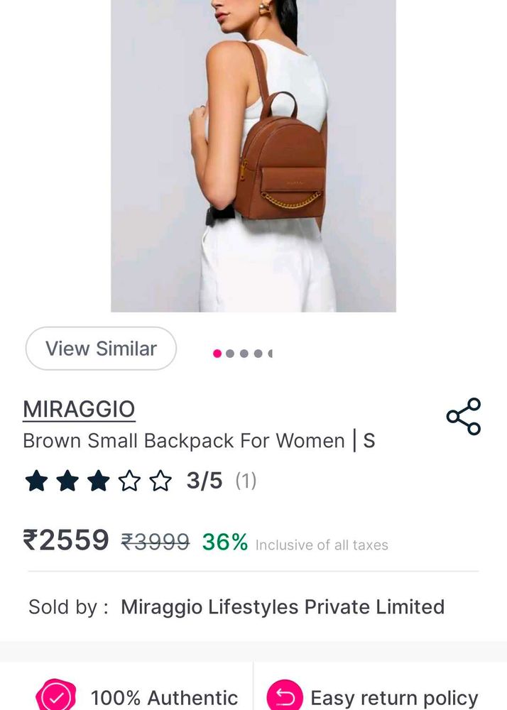 mini backpack for traveller