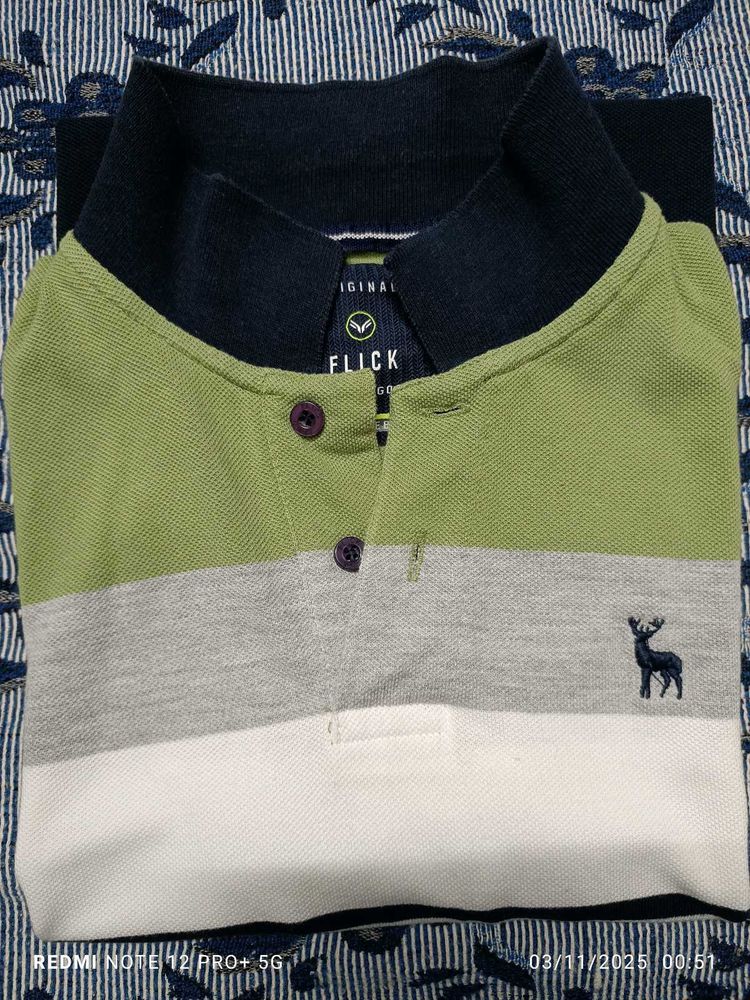 Flick Striped Polo T Shirt (💚 🤍 💙)