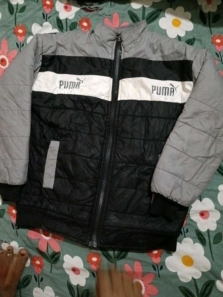 Puma Colorblock Padded Jacket
