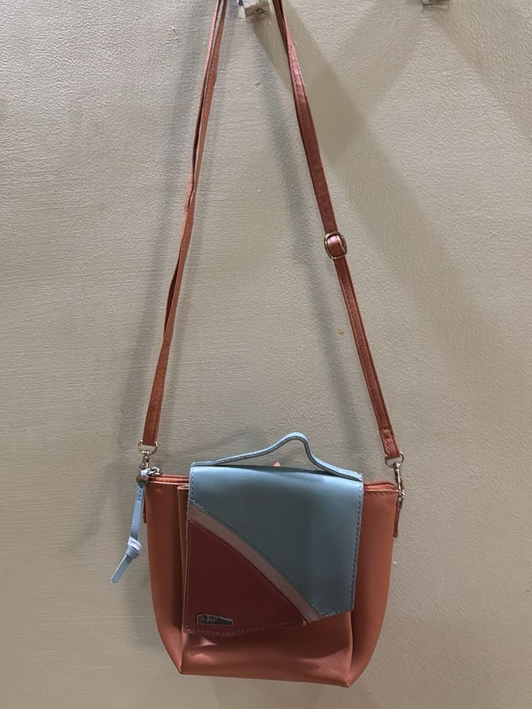Baggit Crossbody Bag
