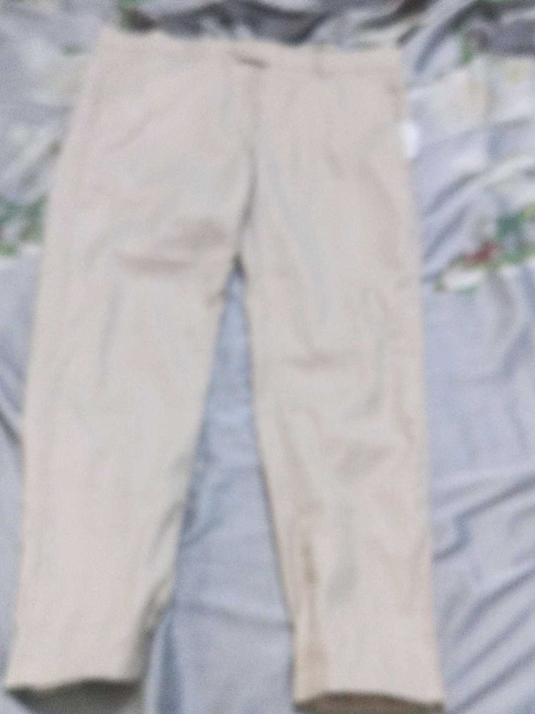 Beige Casual Pants