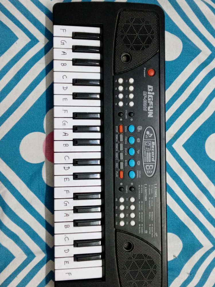 Piano Keyboard Toy Casio Without Mic