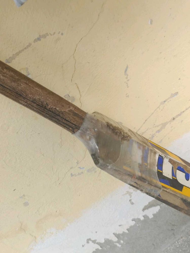 Cricket Bat