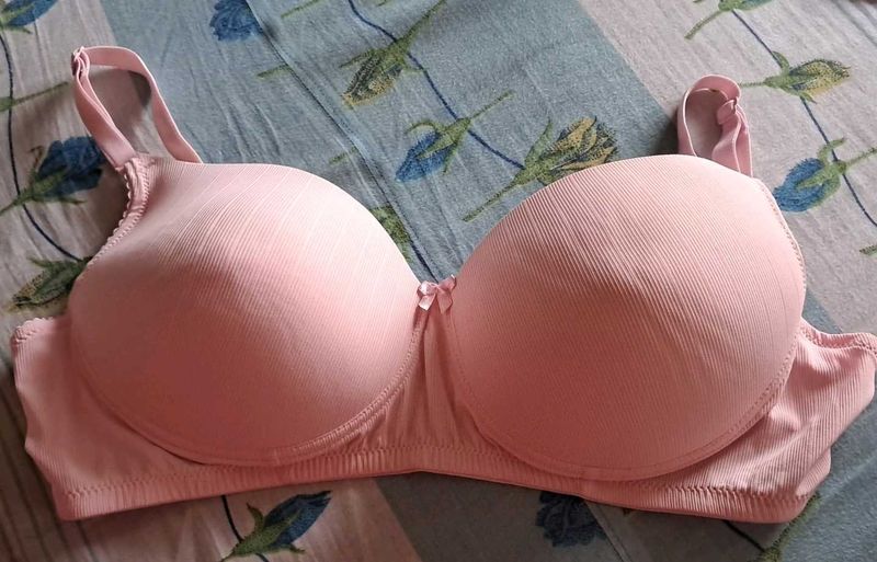 CLOVIA ( 38 C ) Padded Bra