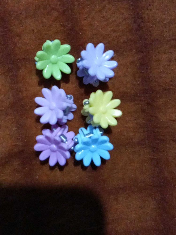 Flower Hair Clips - Set of 6