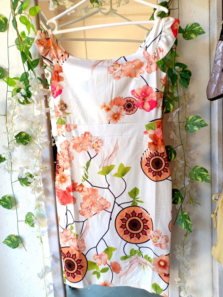 Women Dress
