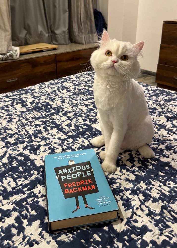 Anxious People