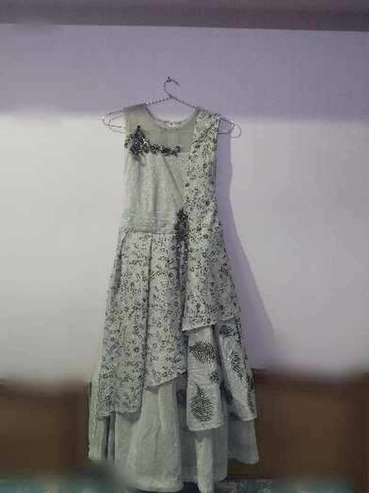 Elegant Embellished Dress