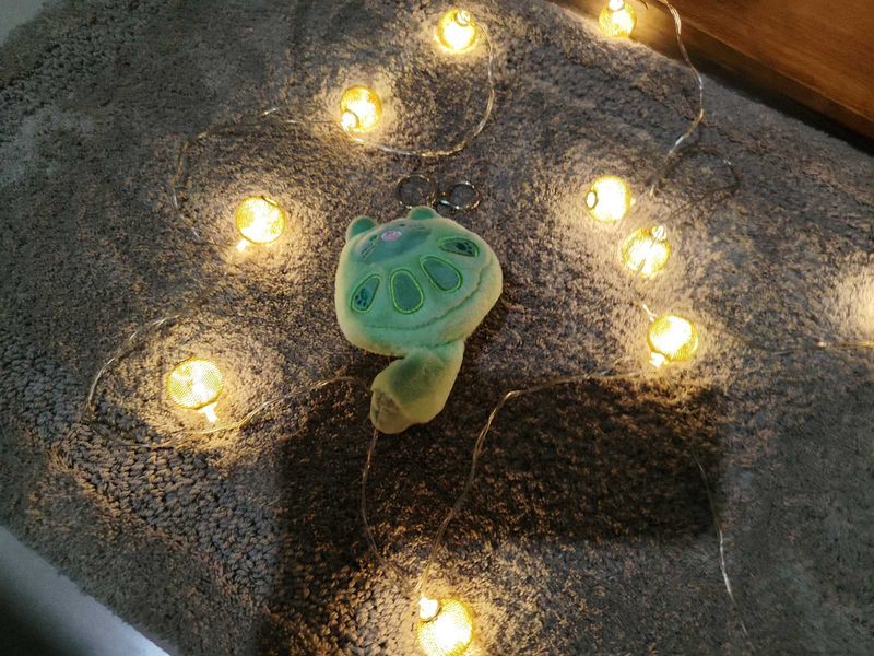 Cute Turtle Plush Keychain