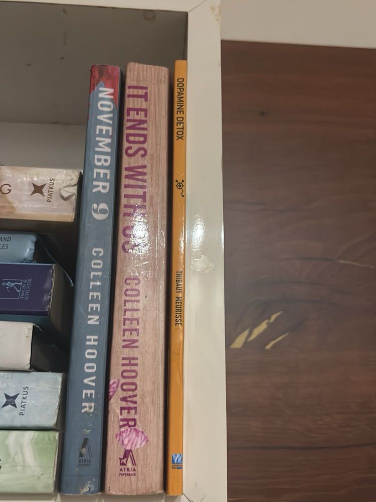 Colleen Hoover &amp; Dopamine Detox Book Bundle