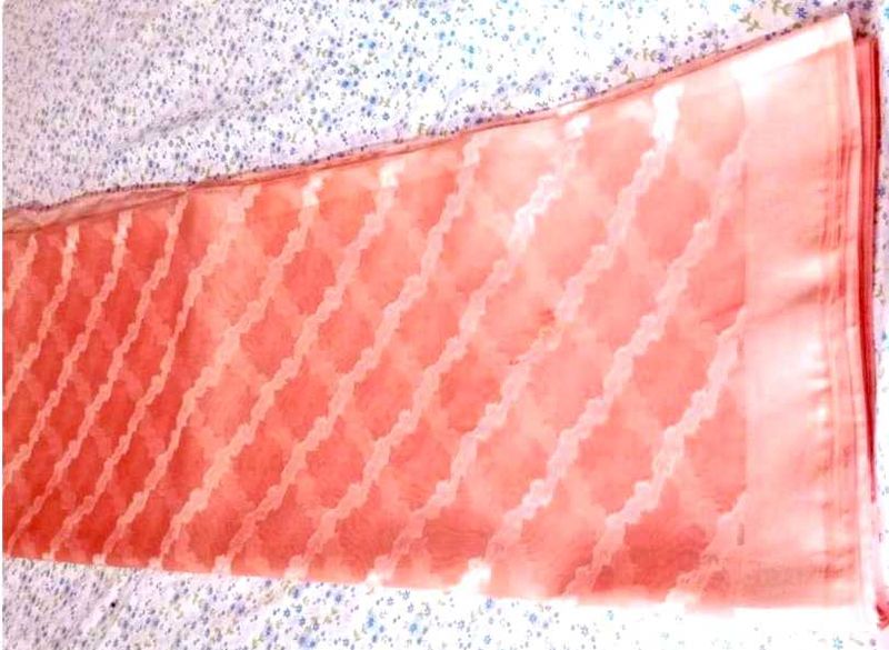 new organza silk saree