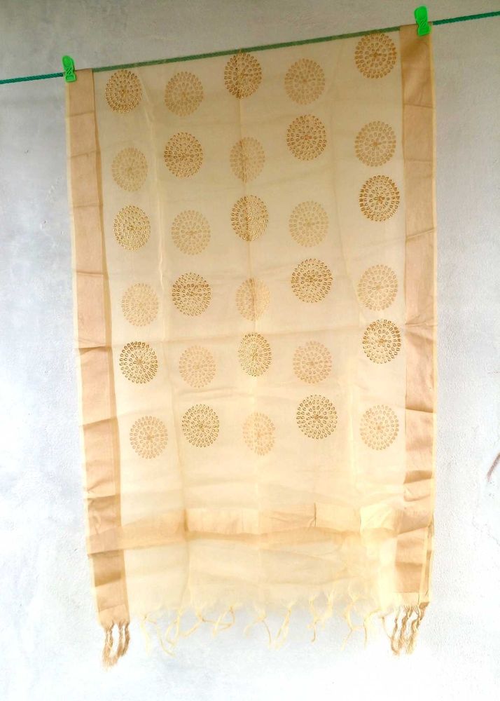 Elegant Dupatta
