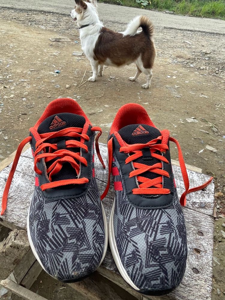 Adidas Sneakers