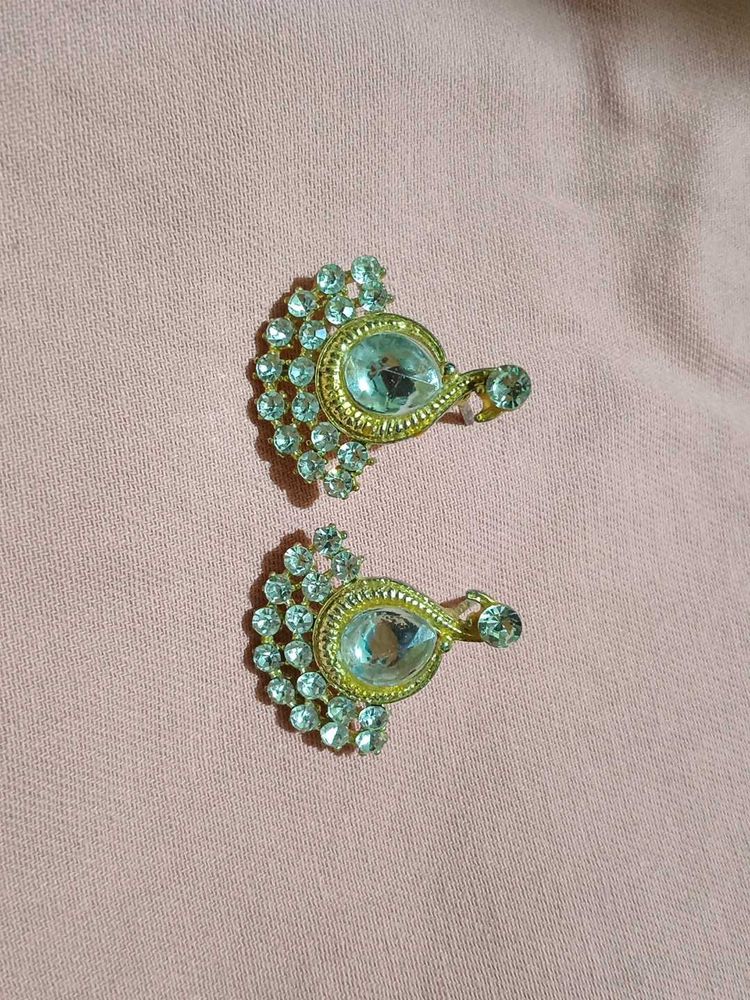 Elegant Stone Earrings