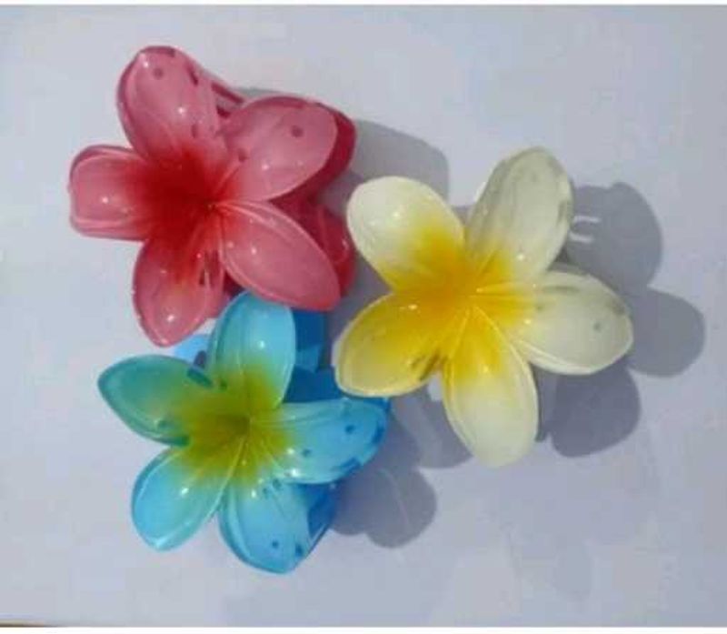 Claw Clips